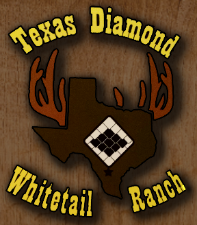 Texas Diamond Whitetail Ranch